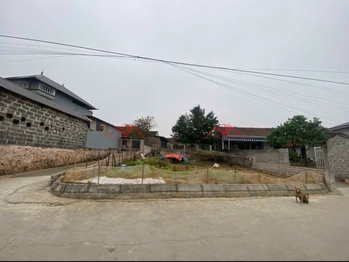 CHÍNH CHỦ BÁN LÔ ĐẤT 106,5M TẠI TÂN TẾN-CHƯƠNG MỸ-HÀ NỘI - Ảnh 2