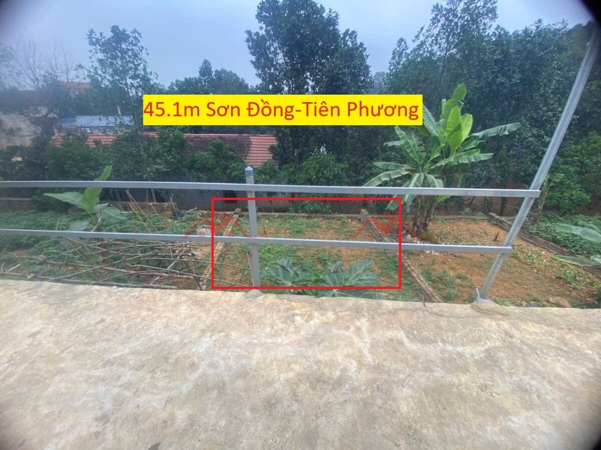 CHÍNH CHỦ BÁN LÔ ĐẤT 45,1M TẠI TIÊN PHƯƠNG-CHƯƠNG MỸ-HÀ NỘI - Ảnh chính