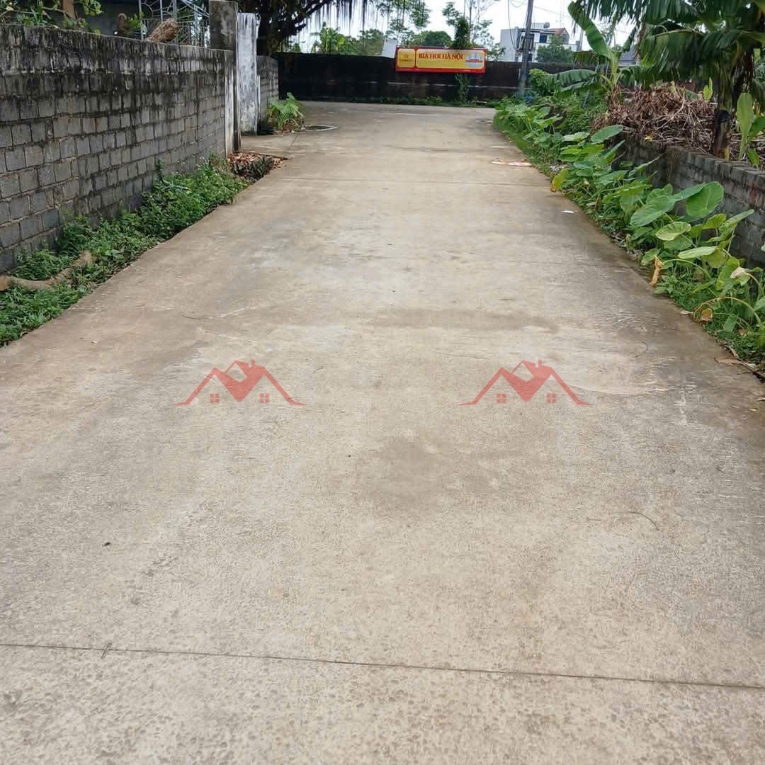CHÍNH CHỦ BÁN LÔ ĐẤT 357,3M HOÀNG VĂN THỤ-CHƯƠNG MỸ-HÀ NỘI - Ảnh 2