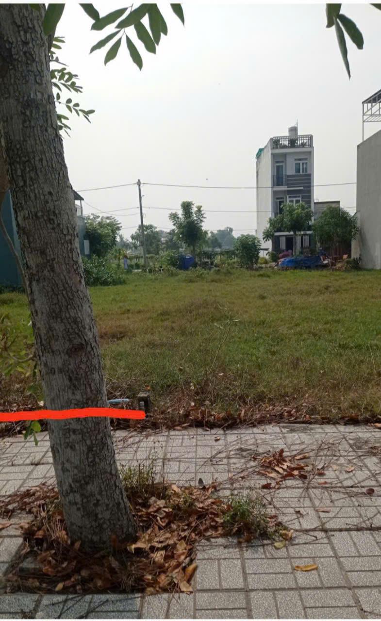 VỊ TRÍ ĐẸP - ĐẦU TƯ SINH LỜI - Cần Bán Nhanh Đất Tại Xã Mỹ Hạnh Bắc, Đức Hòa, Long An - Ảnh chính