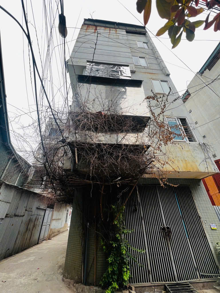 NHÀ CẦN BÁN MẶT PHỐ LINH ĐƯỜNG HOÀNG MAI VIEW HỒ LINH ĐÀM - Ảnh 3