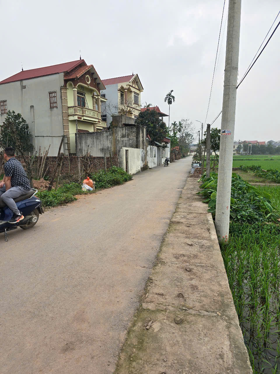 bán đất thôn tiên đài xã văn tiến huyện yên lạc tỉnh vĩnh phúc 174.5m2 giá 2,2 tỷ - Ảnh 2