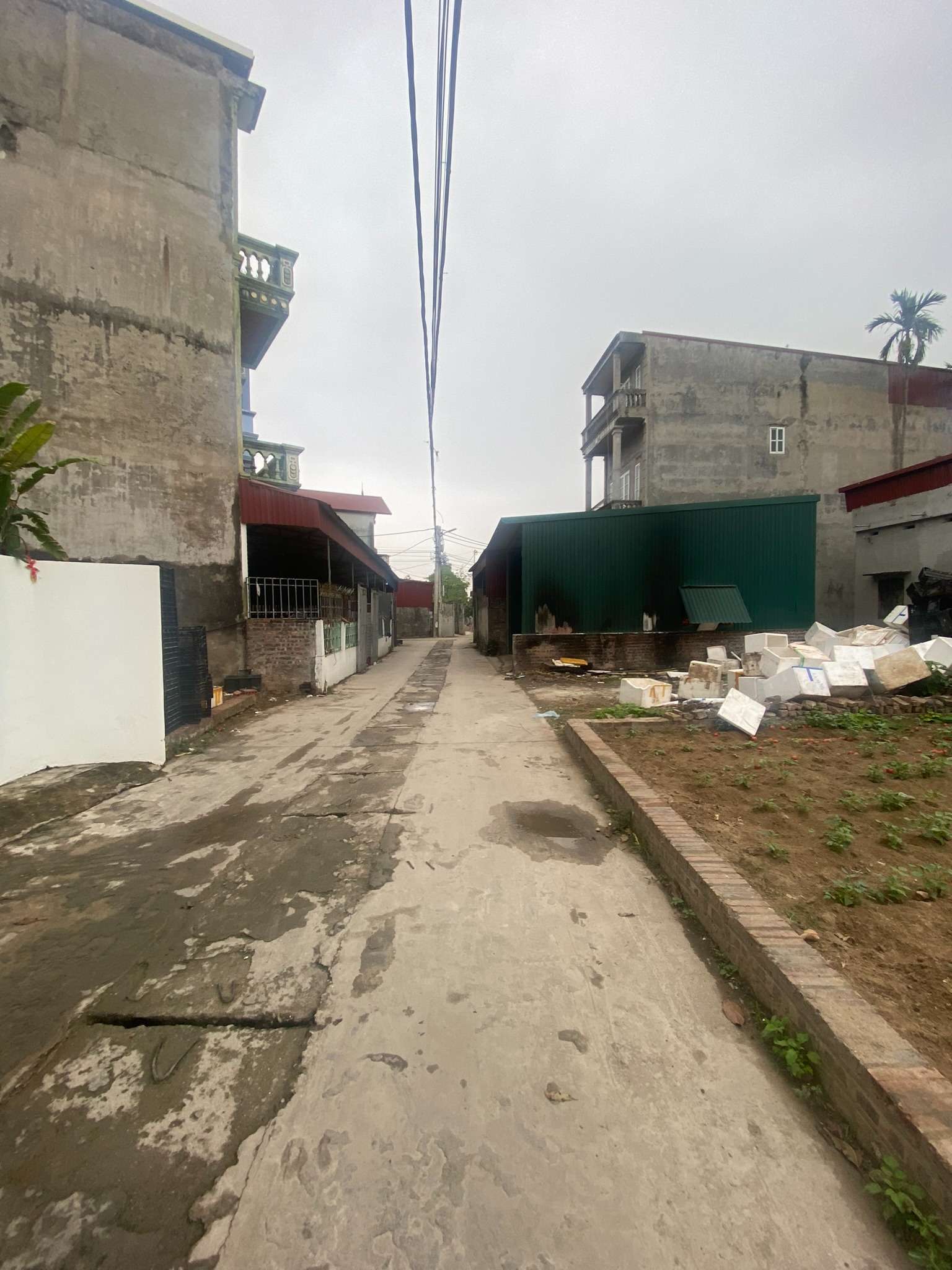 TT QUANG MINH,2,5 TỶ,GIÁ ĐẦU TƯ,IB CHÍNH CHỦ,58M FULL TC - Ảnh 3