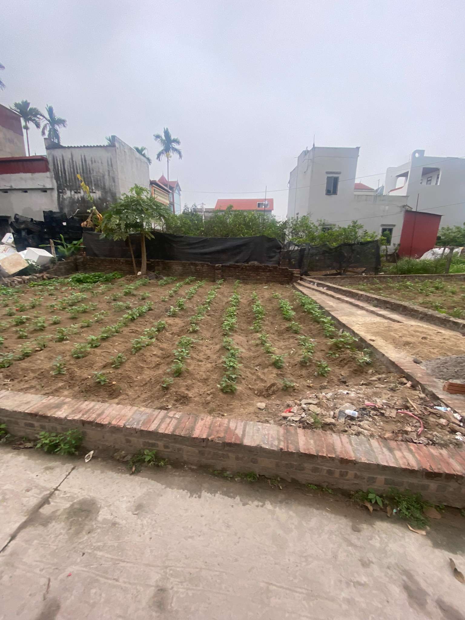 TT QUANG MINH,2,5 TỶ,GIÁ ĐẦU TƯ,IB CHÍNH CHỦ,58M FULL TC - Ảnh 1