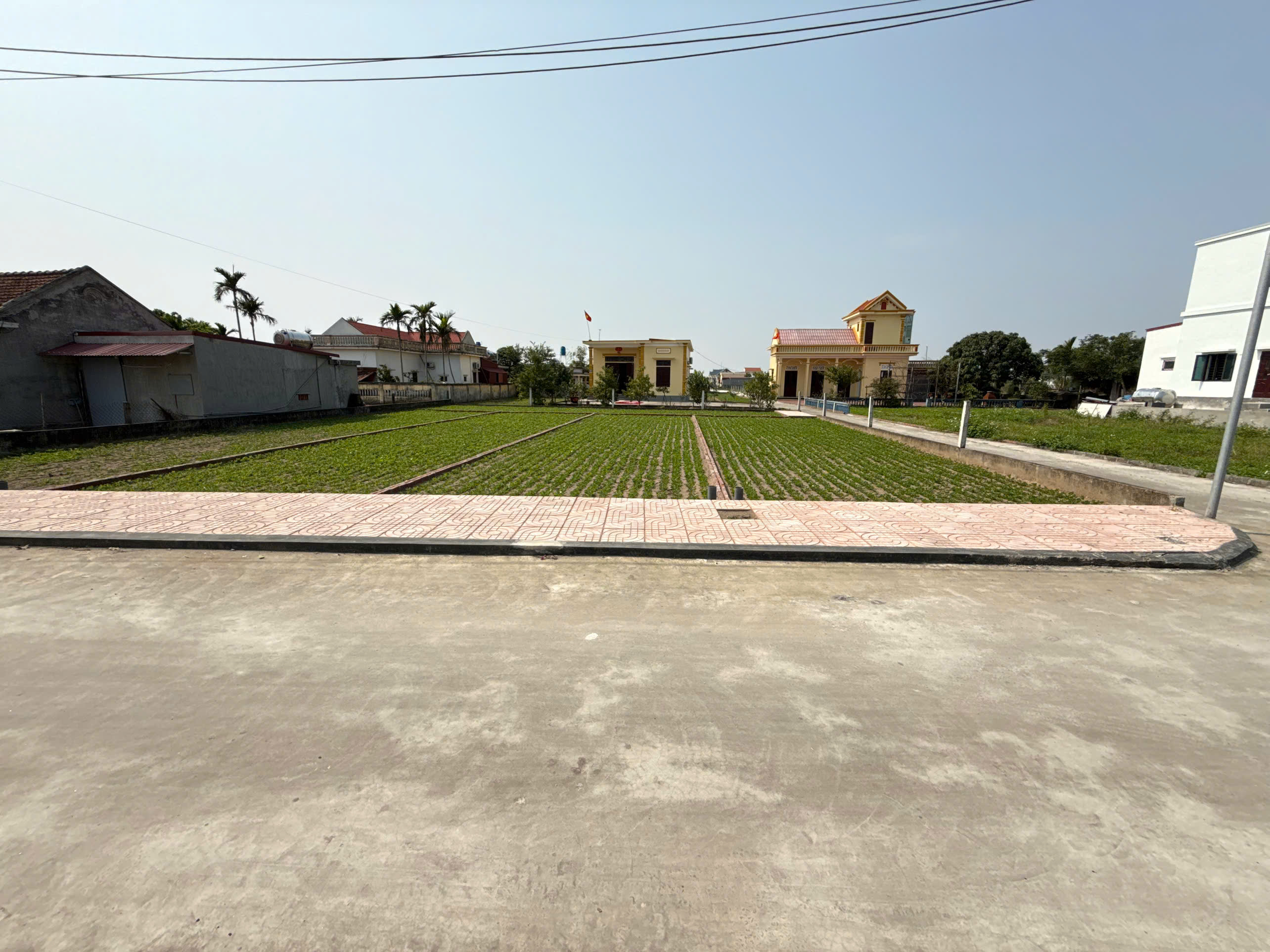 Bán đất thị trấn quất lâm gần quảng trường 90m2 chỉ nhỉnh 1 tỷ - Ảnh chính