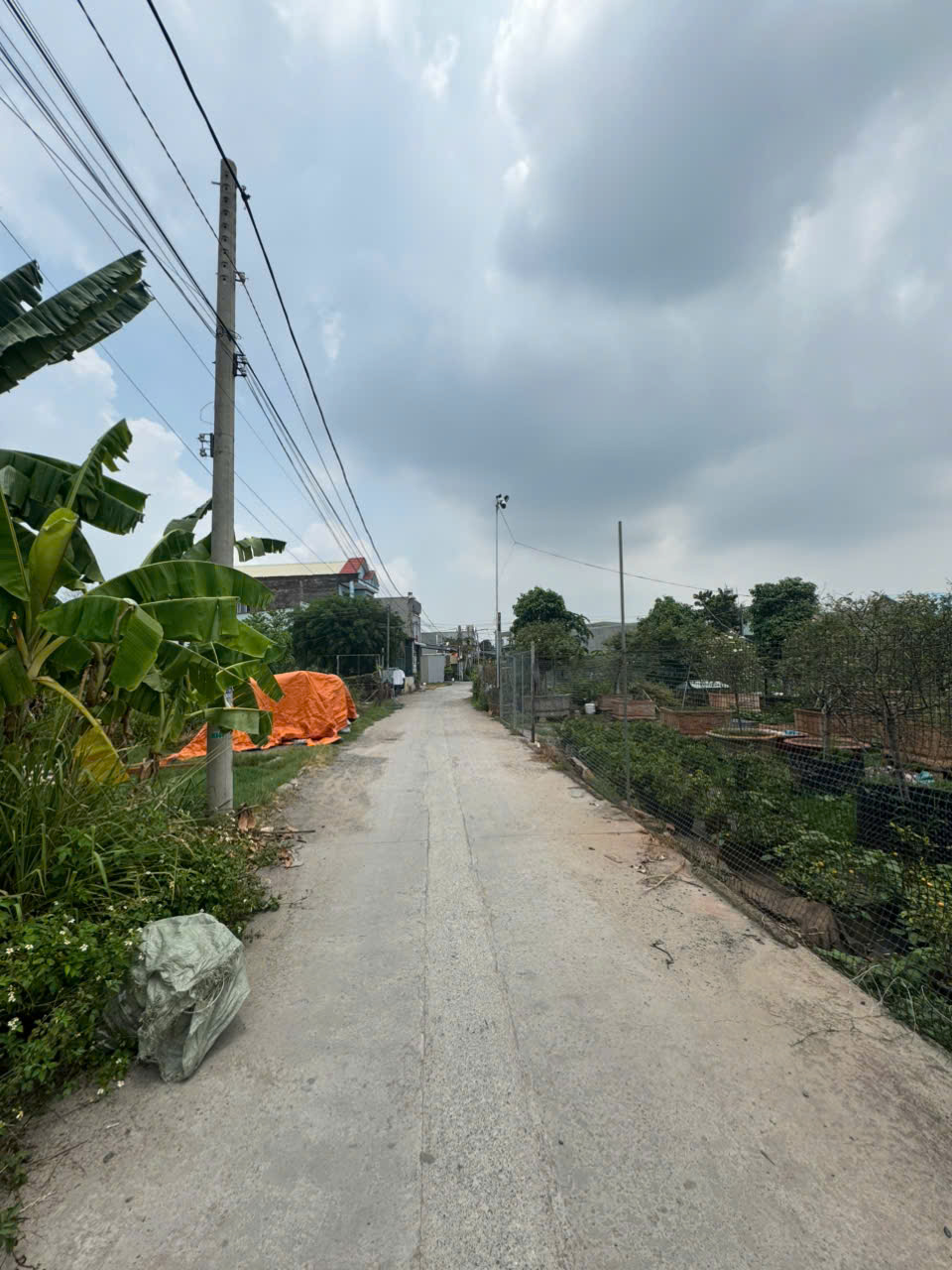 Chính chủ cần bán lô đất 120m2 Kp7 Tân Phong- Biên  Hòa Đồng Nai, cách KDC Tân Phong 100m - Ảnh chính