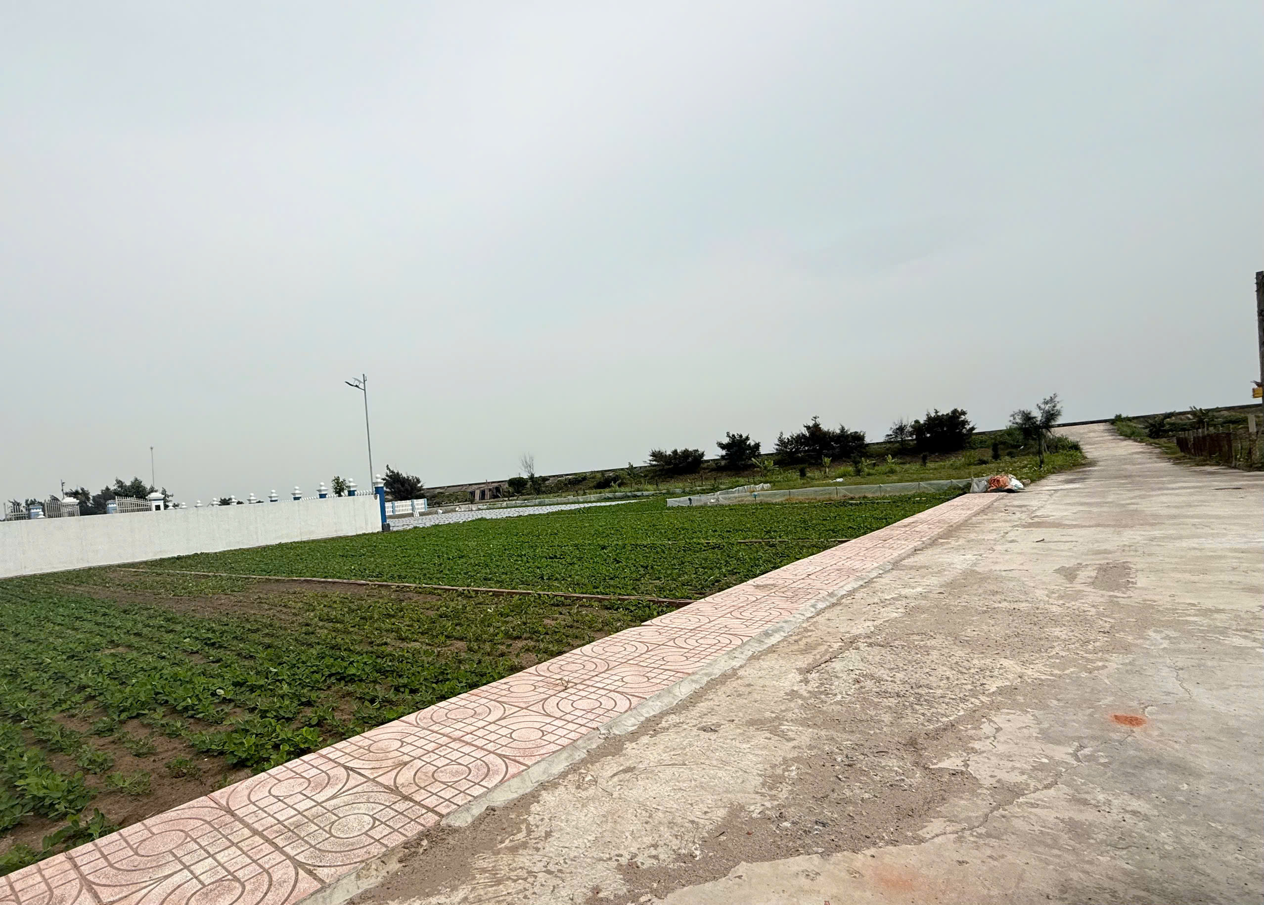 Chính chủ bán đất giao phong 100m2 cách biển 30m chỉ nhỉnh 2 tỷ - Ảnh 1