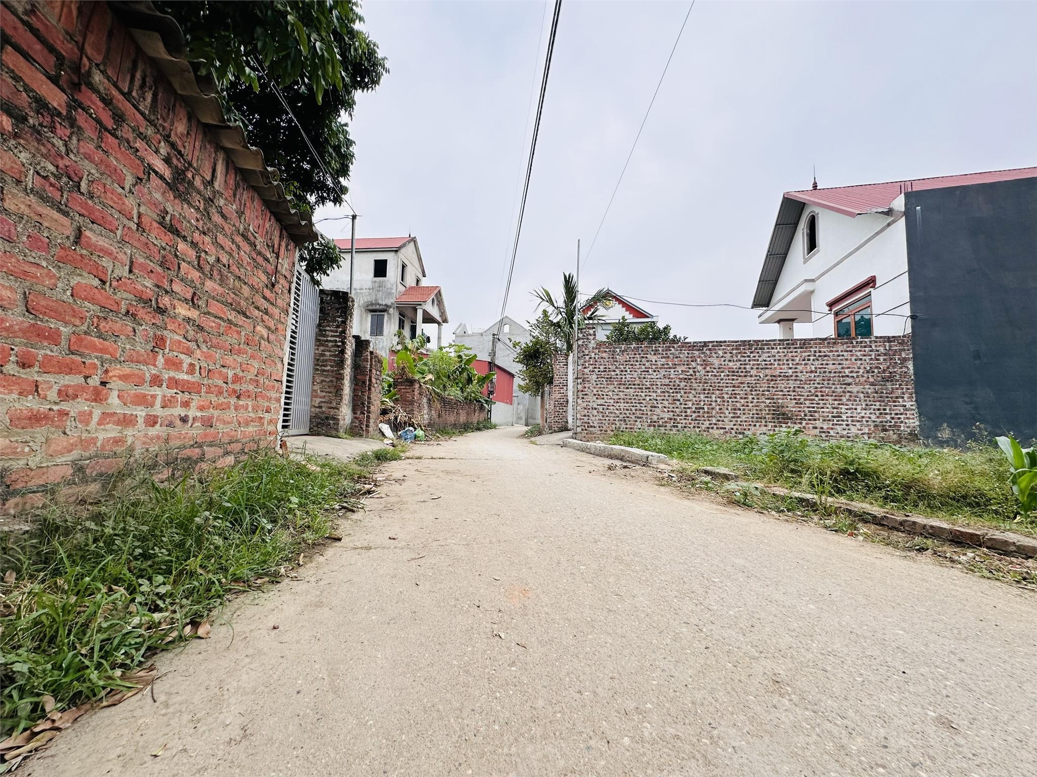Bán đất đường thông ô tô,cách 50m ra trục chính tại Yên Ninh-Hiền Ninh giá hơn tỷ - Ảnh chính