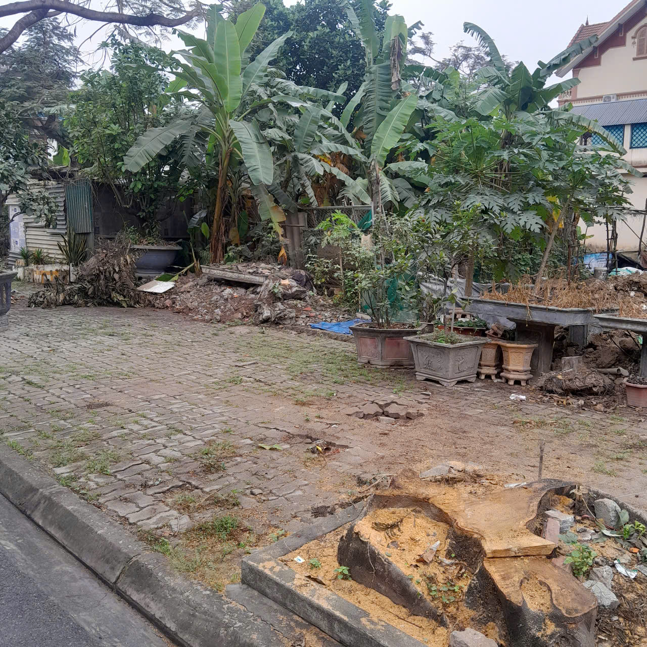 Cần bán gấp lô đất 200m2 trục chính tại Phường Thái Thịnh- Kinh Môn vị trí đẹp Lh:0971822204 - Ảnh chính
