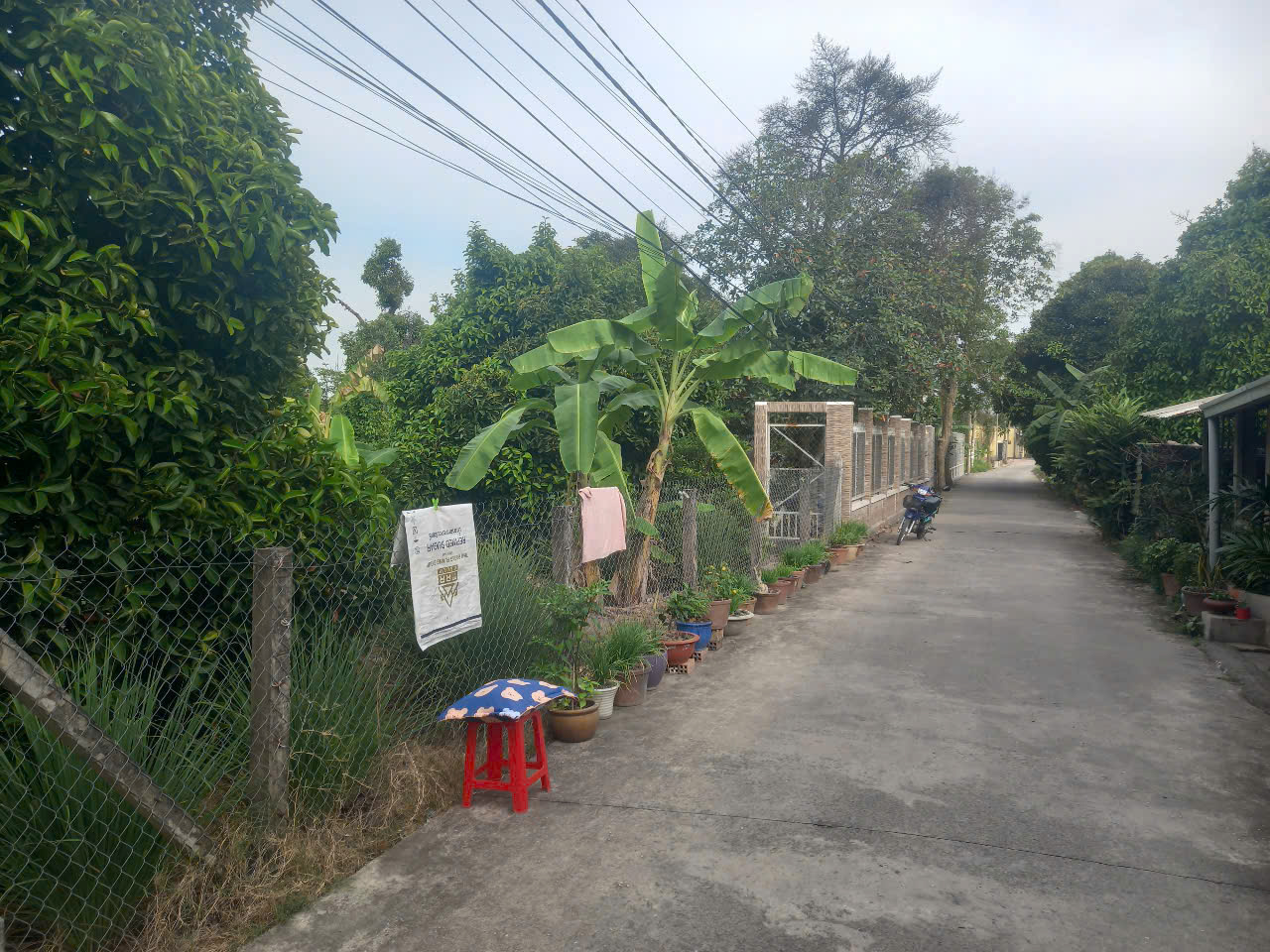 VỊ TRÍ ĐẸP - ĐẦU TƯ SINH LỜI - Cần Bán Đất Chính Chủ Tại Phường An Thạnh, Thuận An, Bình Dương - Ảnh 4