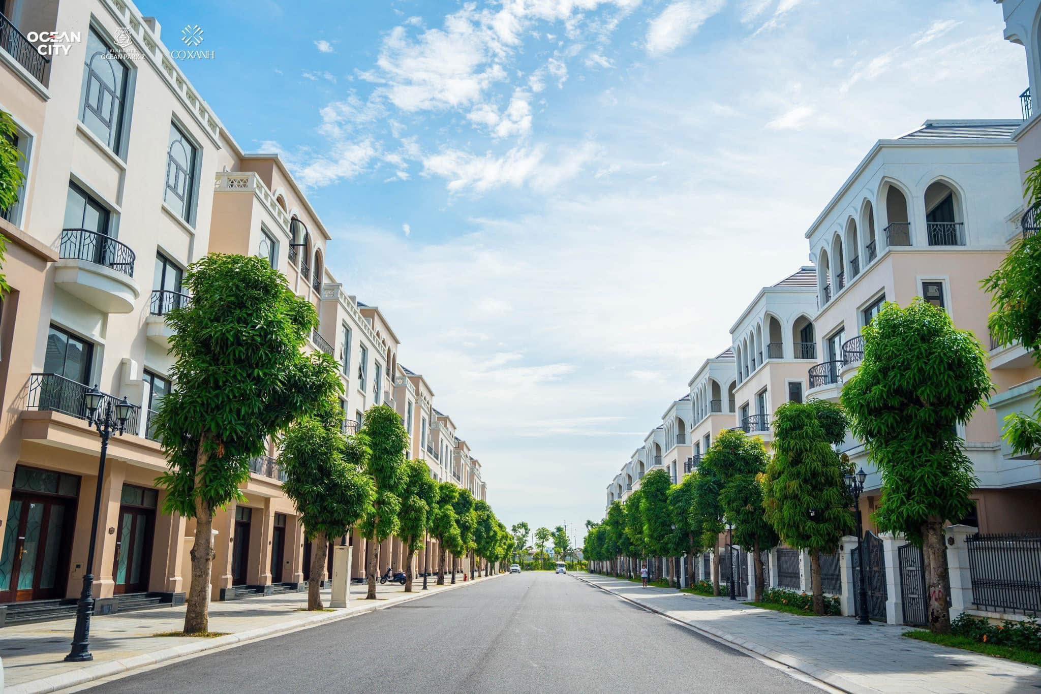 Chính chủ bán liền kề Hải âu 2-85, Ocen Park 2 0987663865 - Ảnh 2
