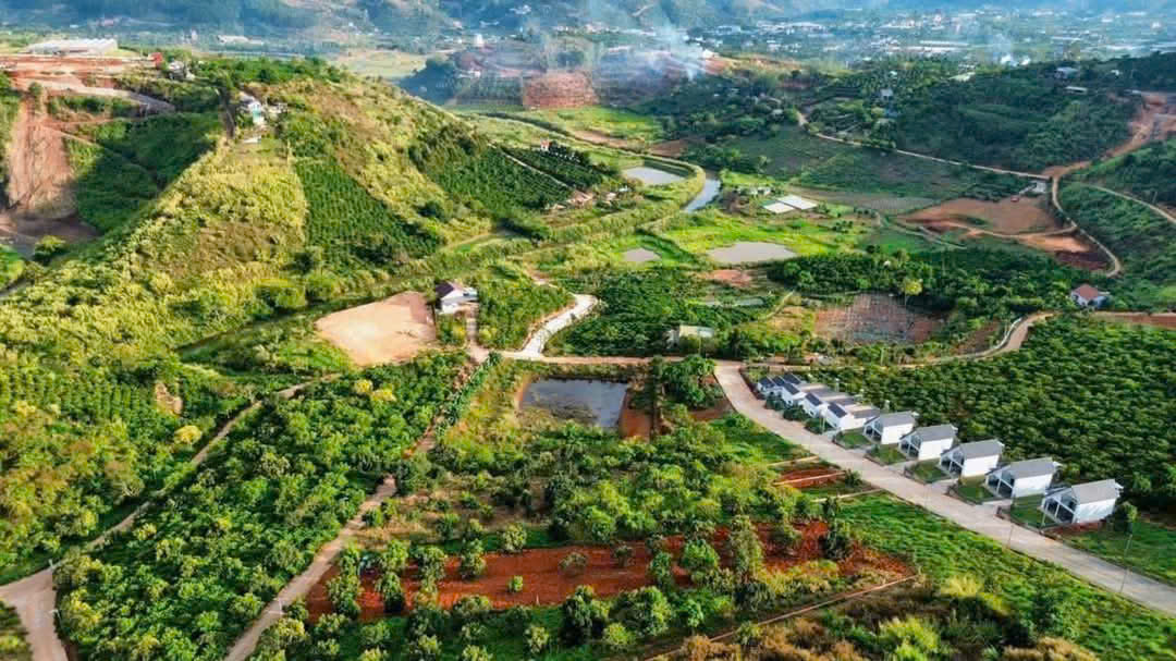 Chính Chủ Bán 297m2 Thổ Cư 160m2 Đất Tại Xã Mê Linh, Huyện Lâm Hà, Lâm Đồng. - Ảnh chính
