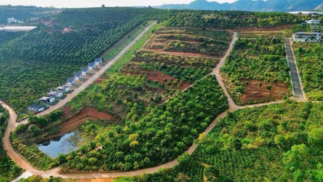 Chính Chủ Bán 297m2 Thổ Cư 160m2 Đất Tại Xã Mê Linh, Huyện Lâm Hà, Lâm Đồng. - Ảnh 1