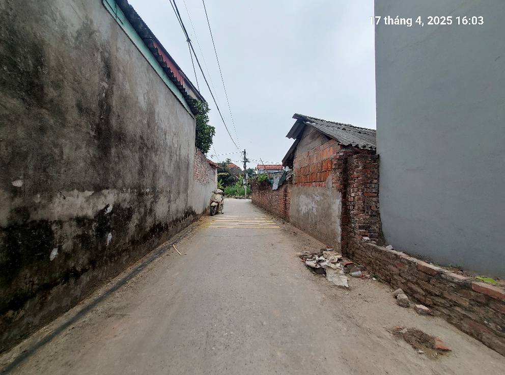Hai thửa đất, 100m2, mt6m, 2.6 tỷ, 7 chỗ, thông, Thanh Trí, Sóc Sơn. - Ảnh 4