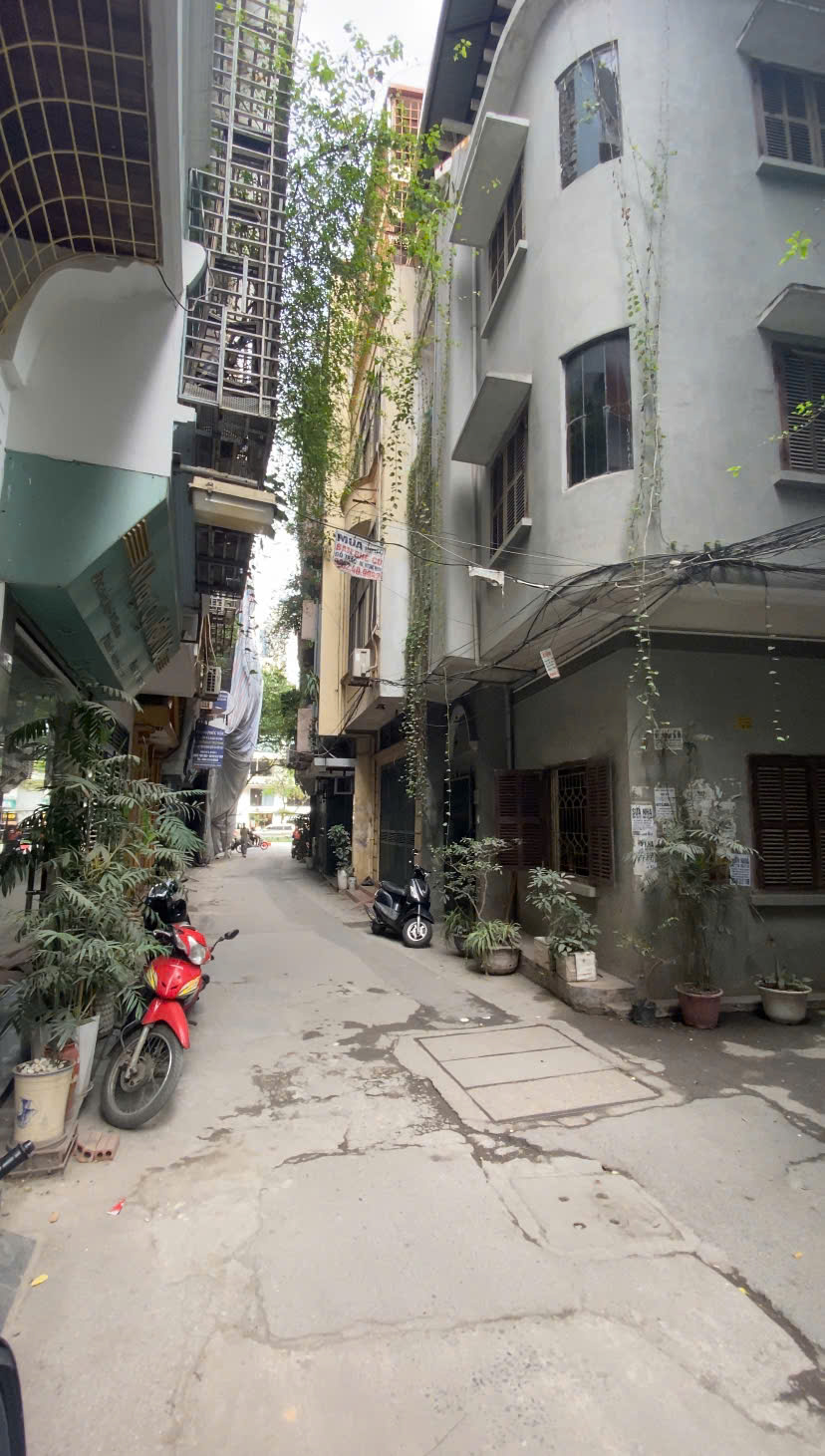 Lô góc 2 mặt ngõ, ô tô vào nhà phố Hào Nam, Đống Đa, kinh doanh, 62m, mặt tiền 5.5m, 15.2 tỷ. - Ảnh chính