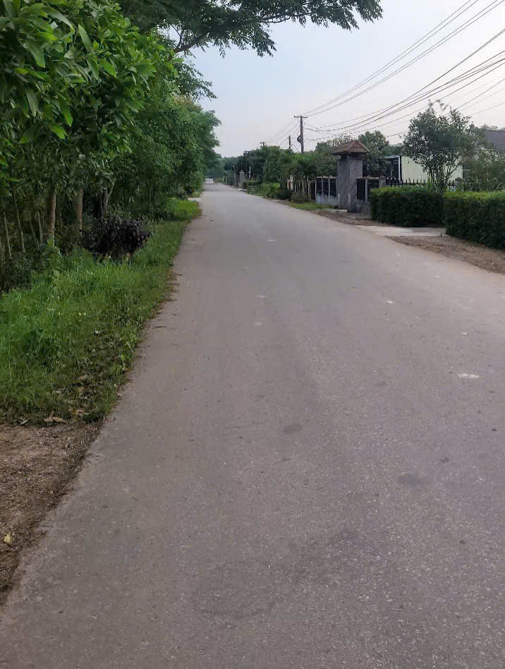 Chính chủ cần bán nhanh lô đất thôn Thượng Xá, xã Hải Phú, huyện Hải Lăng, Quảng Trị - Ảnh 1