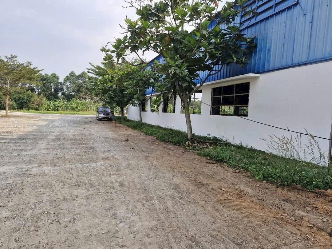 Cho thuê nhà xưởng 10.500m² tại Phú An Bến Cát Bình Dương – Xưởng mới, PCCC tự động, trạm điện - Ảnh 1