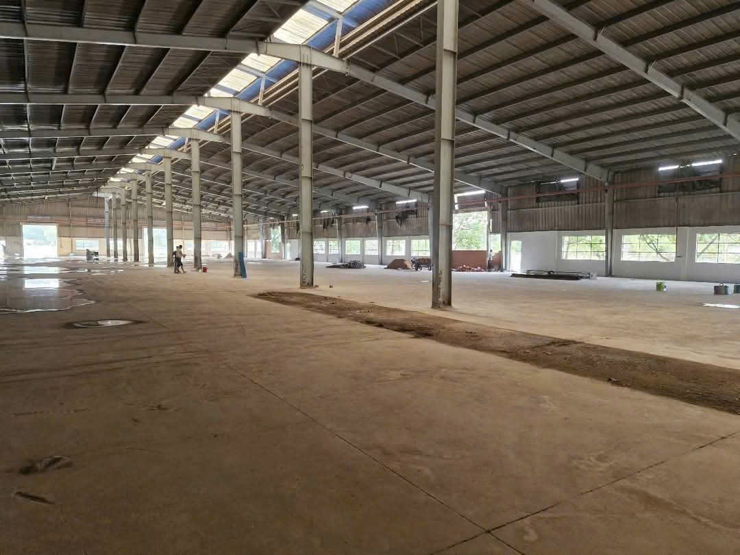 Cho thuê nhà xưởng 10.500m² tại Phú An Bến Cát Bình Dương – Xưởng mới, PCCC tự động, trạm điện - Ảnh 2