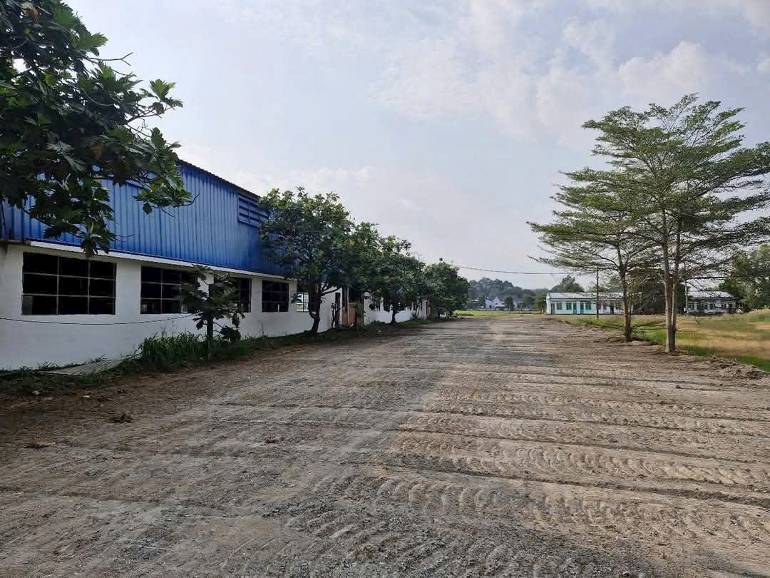 Cho thuê nhà xưởng 10.500m² tại Phú An Bến Cát Bình Dương – Xưởng mới, PCCC tự động, trạm điện - Ảnh chính