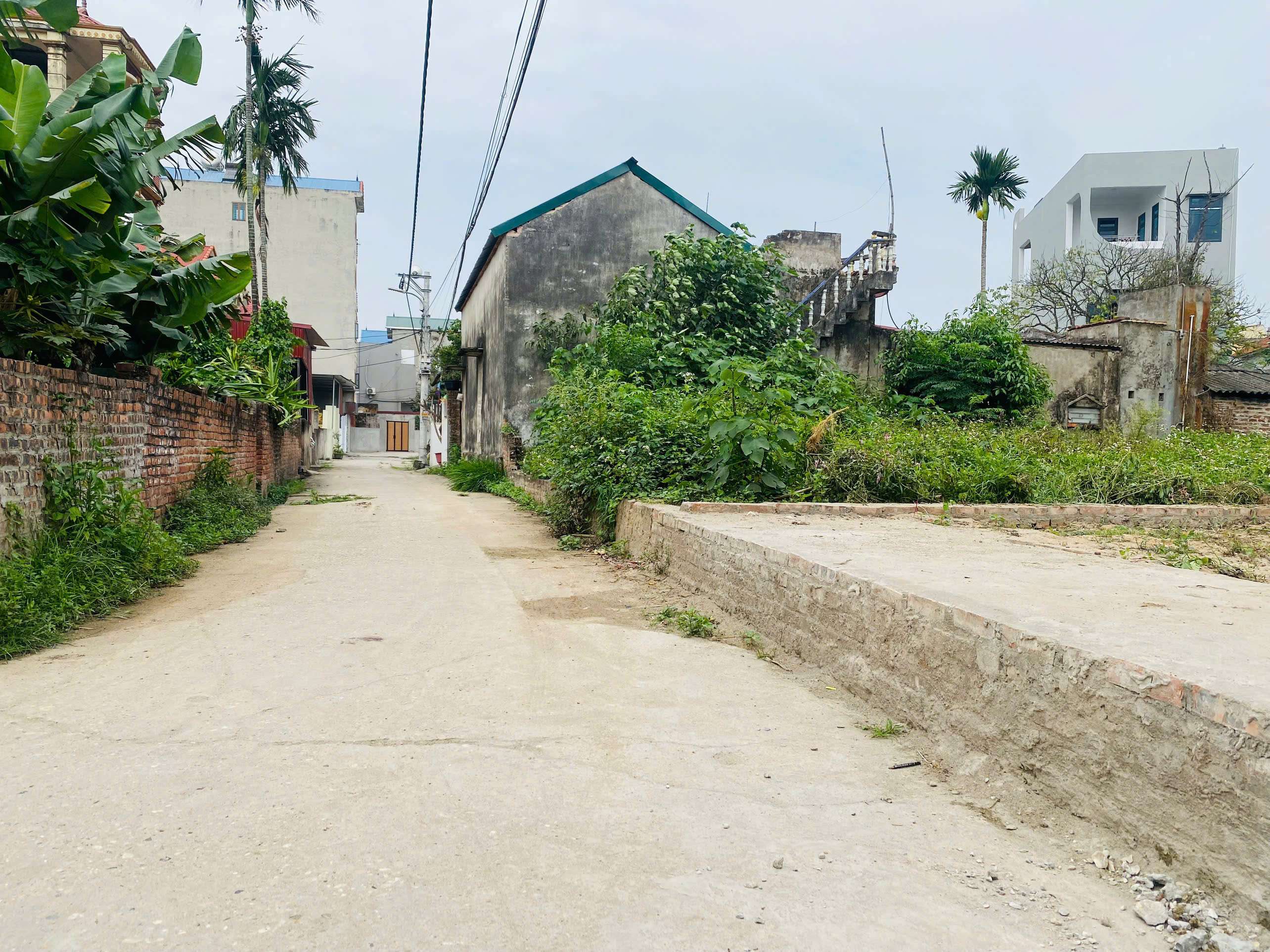 CHÍNH CHỦ BÁN 100M,GIÁ 3X TRIỆU/M,TT QUANG MINH,GIÁ ĐẦU TƯ,OTO VÀO - Ảnh 3