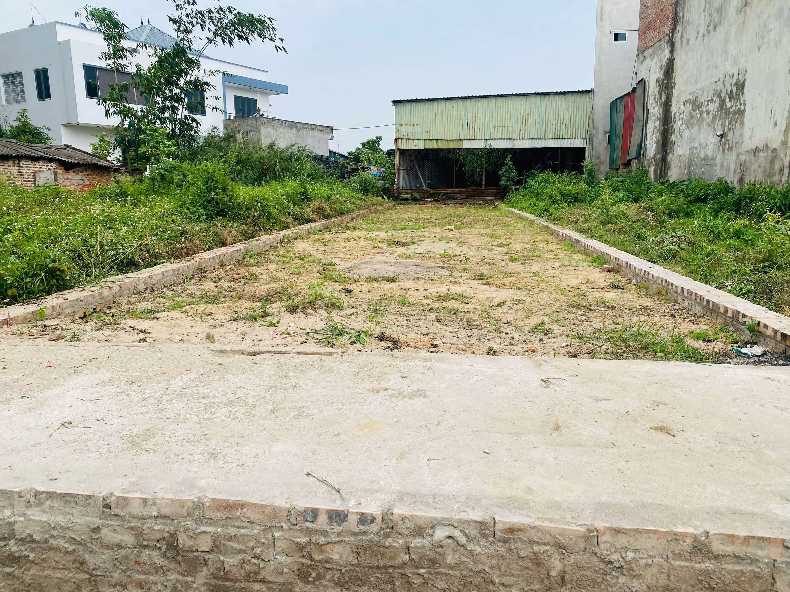 CHÍNH CHỦ BÁN 100M,GIÁ 3X TRIỆU/M,TT QUANG MINH,GIÁ ĐẦU TƯ,OTO VÀO - Ảnh 2