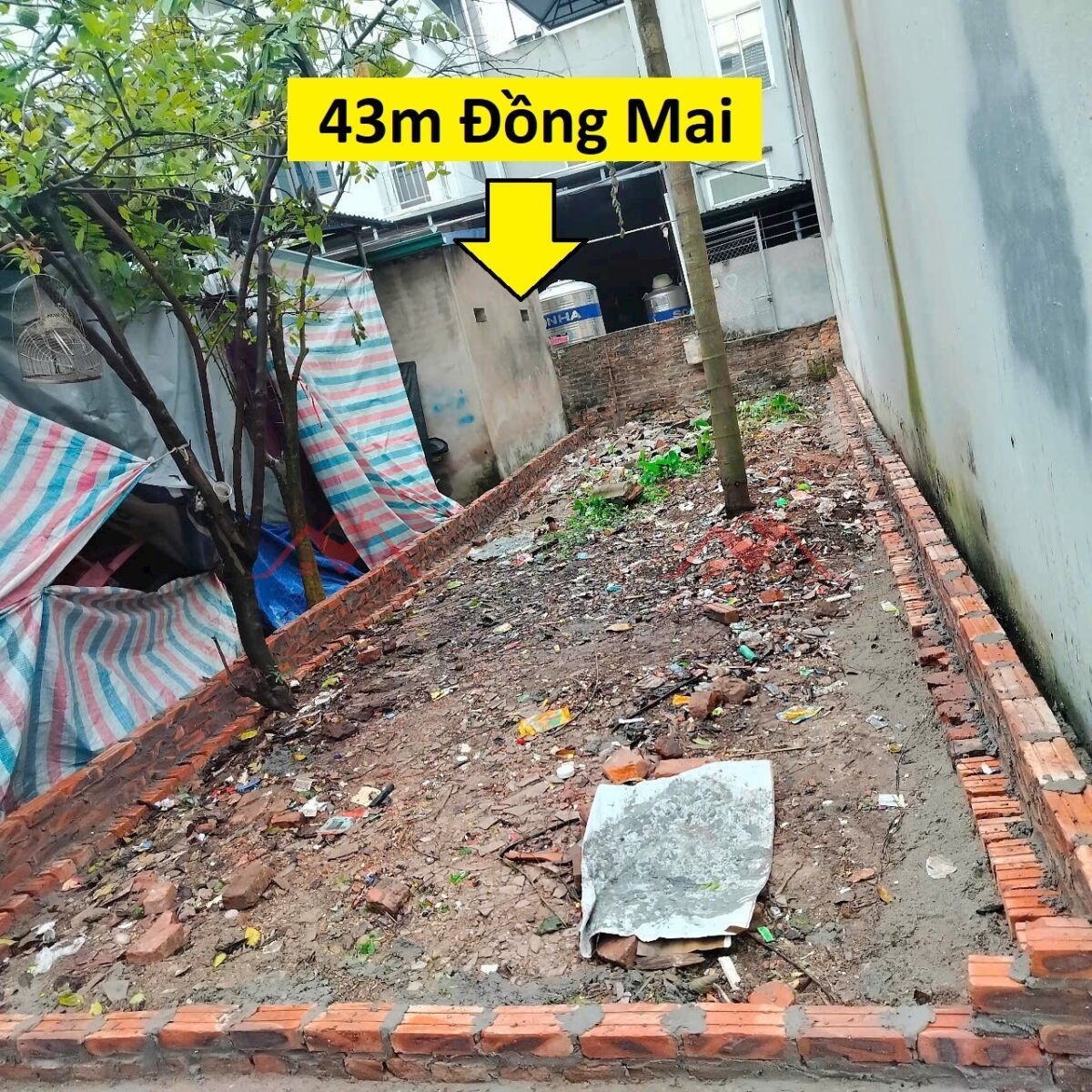 CHÍNH CHỦ BÁN LÔ ĐẤT 43M TẠI ĐỒNG MAI-HÀ ĐÔNG-HÀ NỘI - Ảnh chính