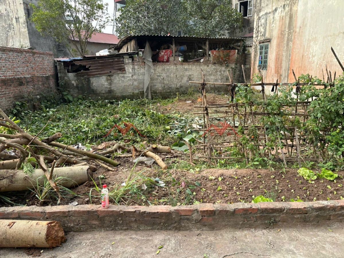 CHÍNH CHỦ BÁN LÔ ĐẤT 64,1M TẠI ĐỒNG MAI-HÀ ĐÔNG-HÀ NỘI - Ảnh 1
