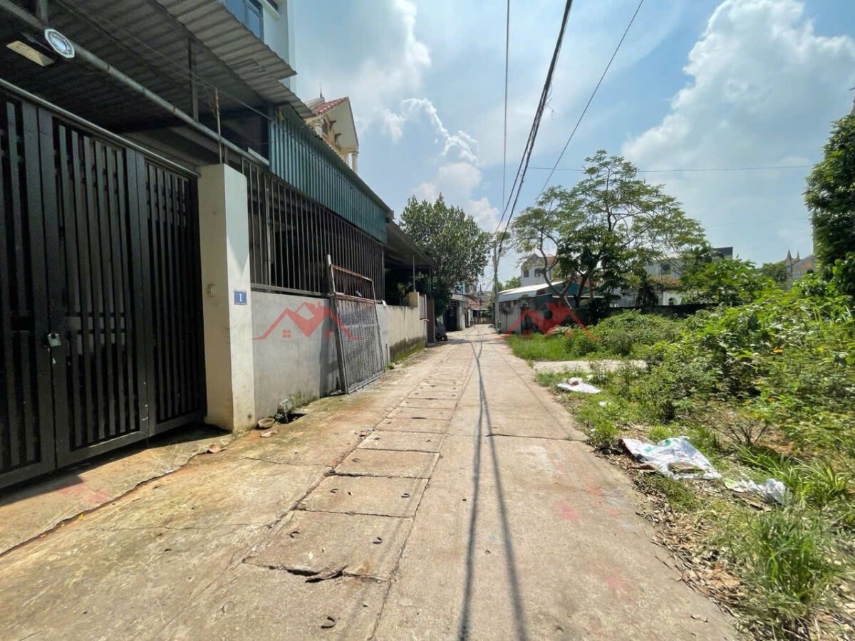 CHÍNH CHỦ BÁN LÔ ĐẤT 64,1M TẠI ĐỒNG MAI-HÀ ĐÔNG-HÀ NỘI - Ảnh 2