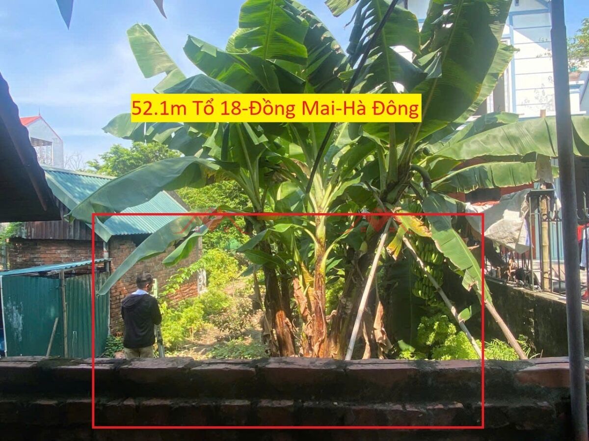 CHÍNH CHỦ BÁN LÔ ĐẤT 52,1M TẠI ĐỒNG MAI-HÀ ĐÔNG-HÀ NỘI - Ảnh chính