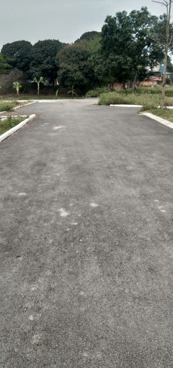 ĐẤT ĐẸP, GIÁ RẺ, 96M2 ĐỒNG TRẠNG, CỔ ĐÔNG - Ảnh chính