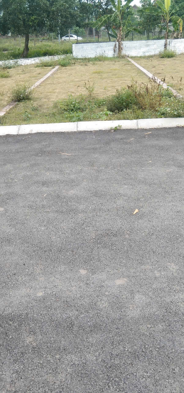 ĐẤT ĐẸP, GIÁ RẺ, 96M2 ĐỒNG TRẠNG, CỔ ĐÔNG - Ảnh 1