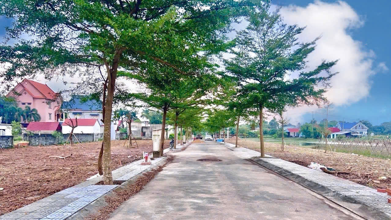 Bán đất nền tại xã Tân Phú Trung, Củ Chi – vị trí tiềm năng. - Ảnh chính