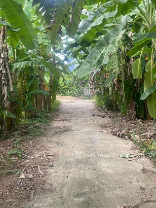 CHÍNH CHỦ CẦN BÁN ĐẤT - Ảnh chính