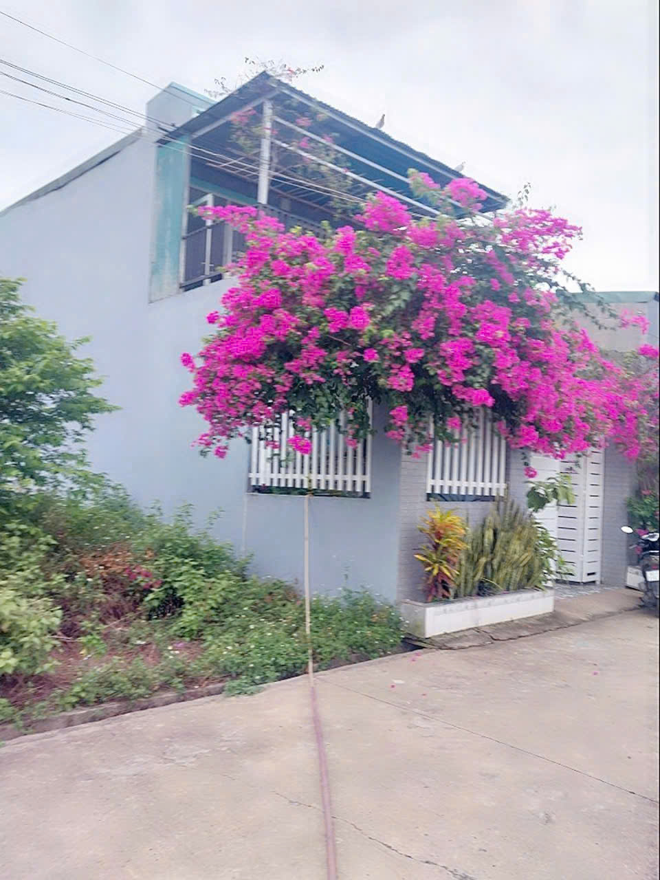 Bán nhà lầu Thiện Tân - Trảng Dài, gần chợ Quang Thắng, chỉ 1tỷ950 - Ảnh chính