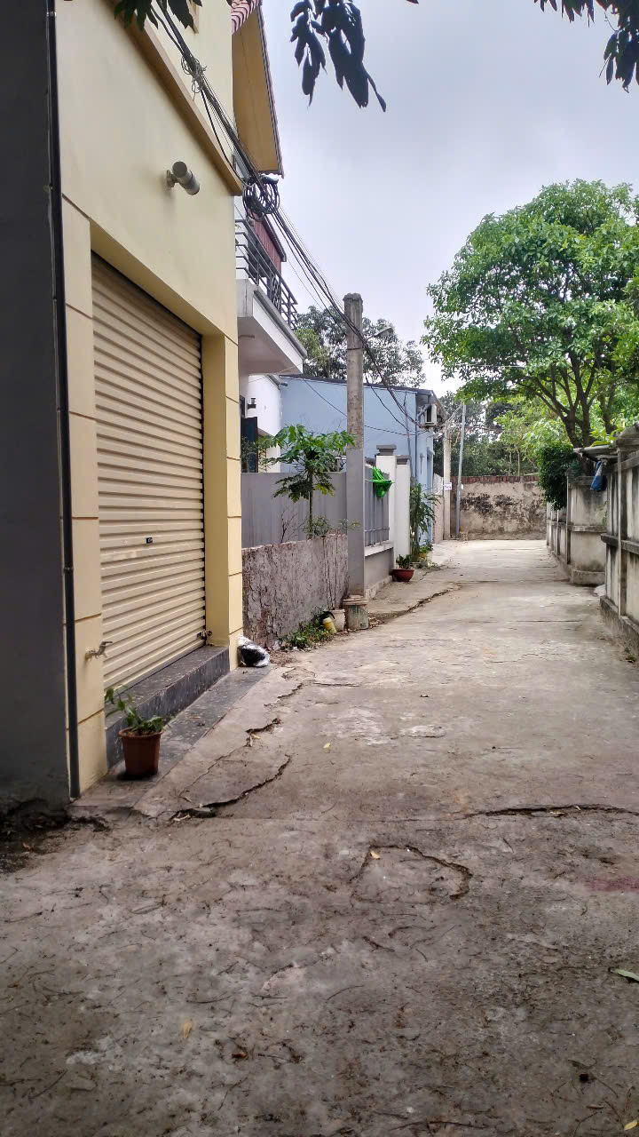 CHÍNH CHỦ BÁN ĐẤT TÂN TRẠI, PHÚ CƯỜNG, SÓC SƠN, HÀ NỘI - Ảnh 2
