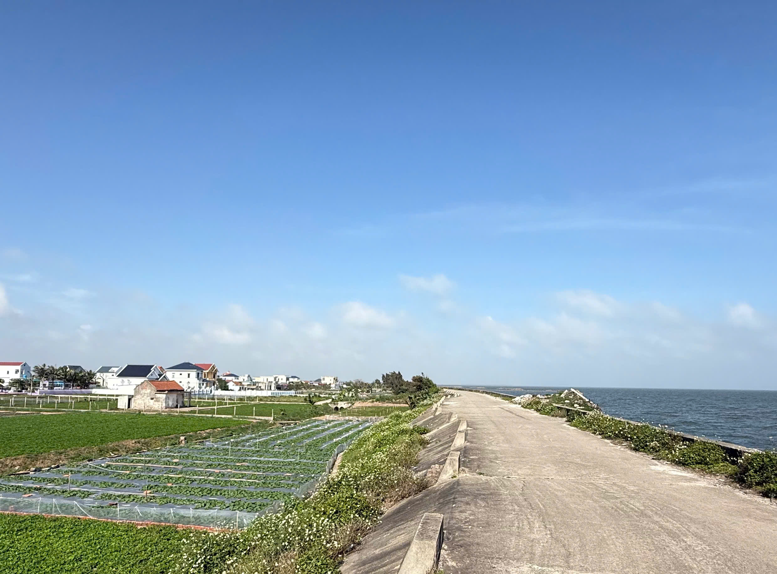 Bán đất biển Quất lâm 100m2, 5m mặt tiền, sát cạnh Flamingo - Ảnh 1