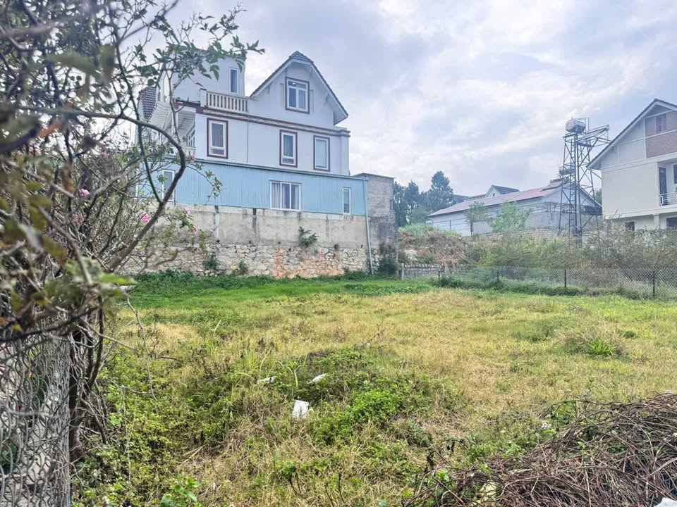 Lô đất nghỉ dưỡng view siêu đẹp khu biệt thự Đại Học Đà Lạt, Đường Lý Nam Đế, Phường 8. - Ảnh 3