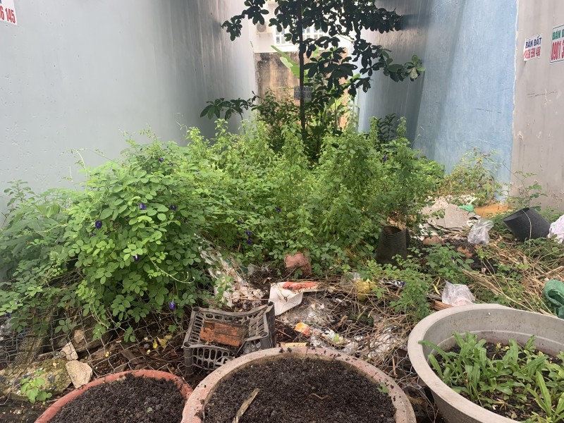 C125 🔥 CƠ HỘI ĐẦU TƯ HIẾM CÓ - ĐẤT MẶT TIỀN NGUYỄN THỊ THẬP, QUẬN 7 🔥 - Ảnh 2