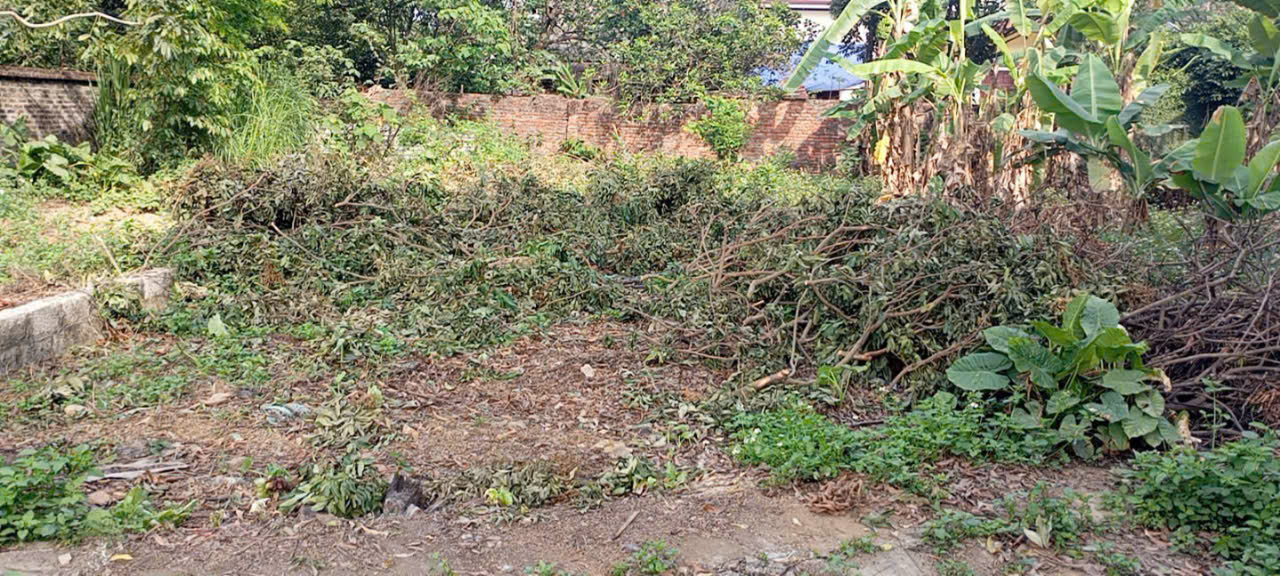 bán lô 125m đông sơn, mặt tiền 7m, đường ô tô tránh giá sinh lời - Ảnh 2