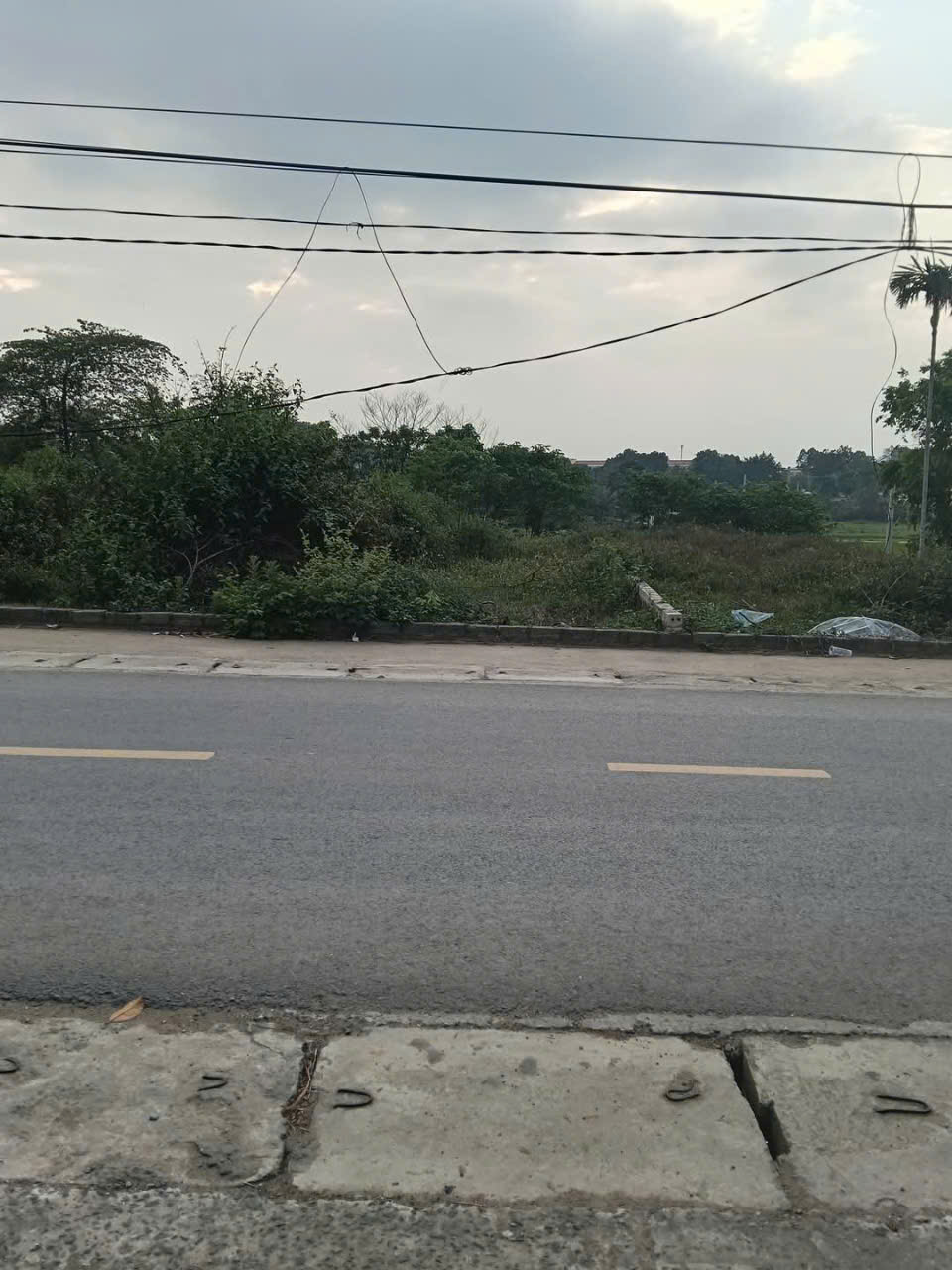 CHÍNH CHỦ NHỜ BÁN LÔ ĐẤT ĐẸP XÃ CỔ ĐÔNG, THỊ XÃ SƠN TÂY, HÀ NỘI - Ảnh 1