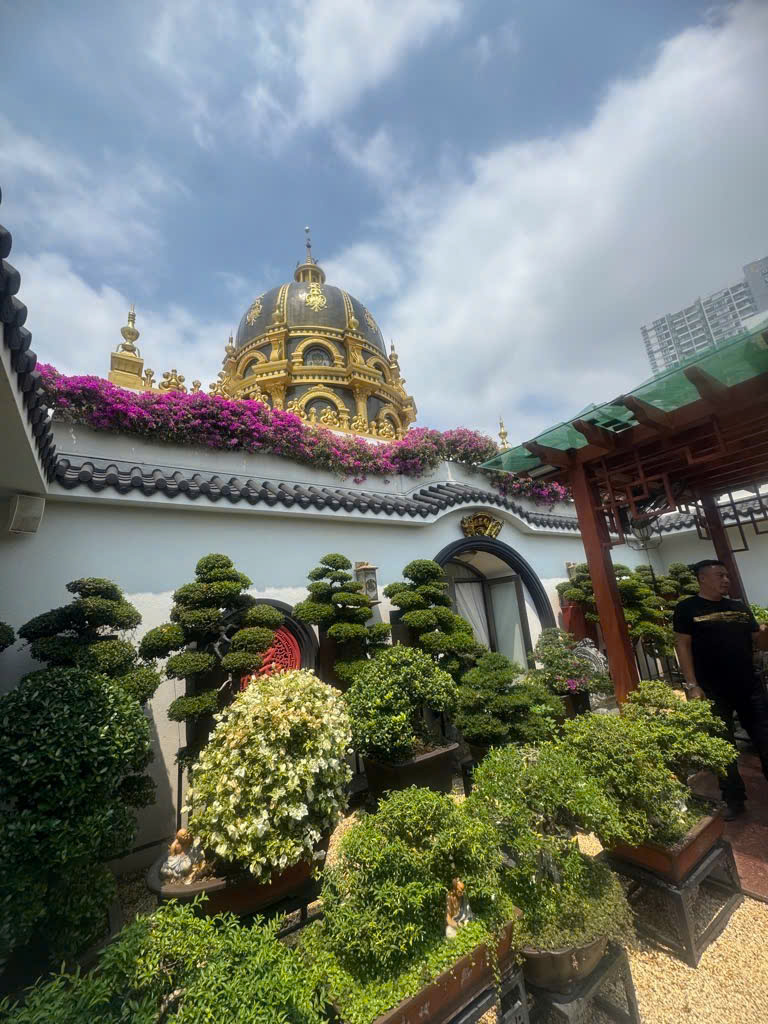 ĐẤT VÀNG TRIỆU ĐÔ – NAM HÙNG VƯƠNG, AN LẠC, BÌNH TÂN – CÁCH AEON MALL CHỈ 3 PHÚT – FULL THỔ CƯ, - Ảnh 4