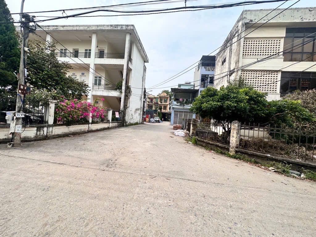 Chính chủ bán đất trung tâm Trâu Quỳ/Gia Lâm 36m2 mtien 3.8m đường hơn 3m oto đỗ cửa - Ảnh 3