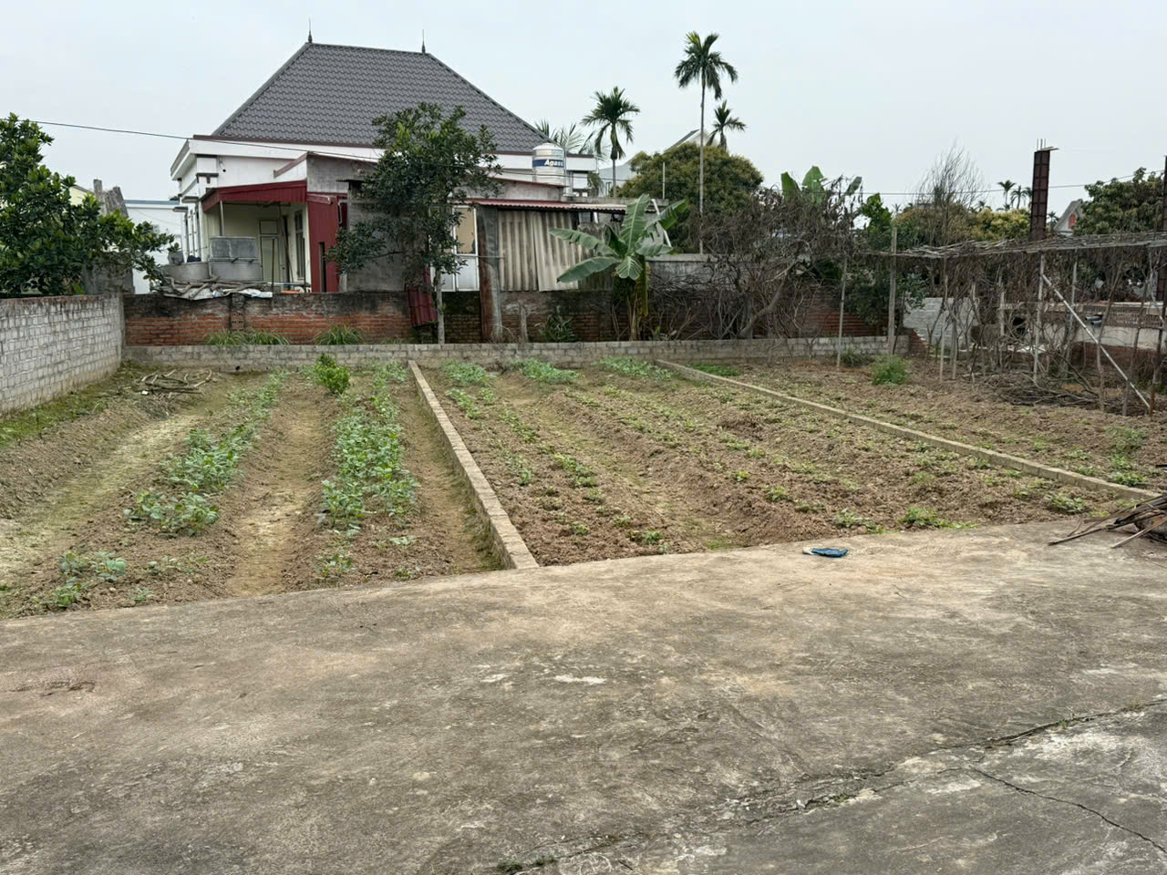 Chính chủ e chào bán 1 lô duy nhất ngay sát khu công nghiệp Tràng Duệ 3 đang khởi công - Ảnh 1