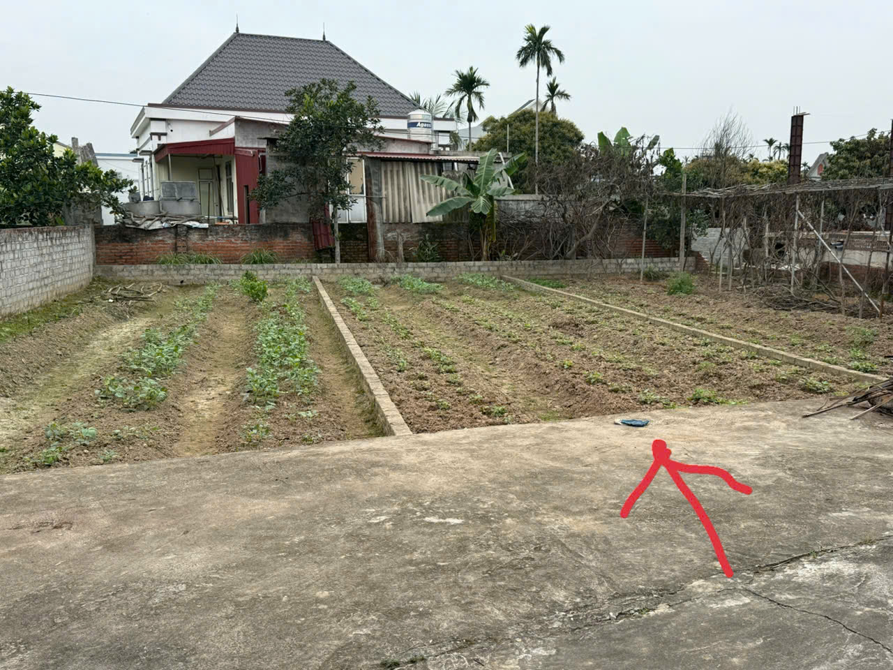 Chính chủ e chào bán 1 lô duy nhất ngay sát khu công nghiệp Tràng Duệ 3 đang khởi công - Ảnh chính