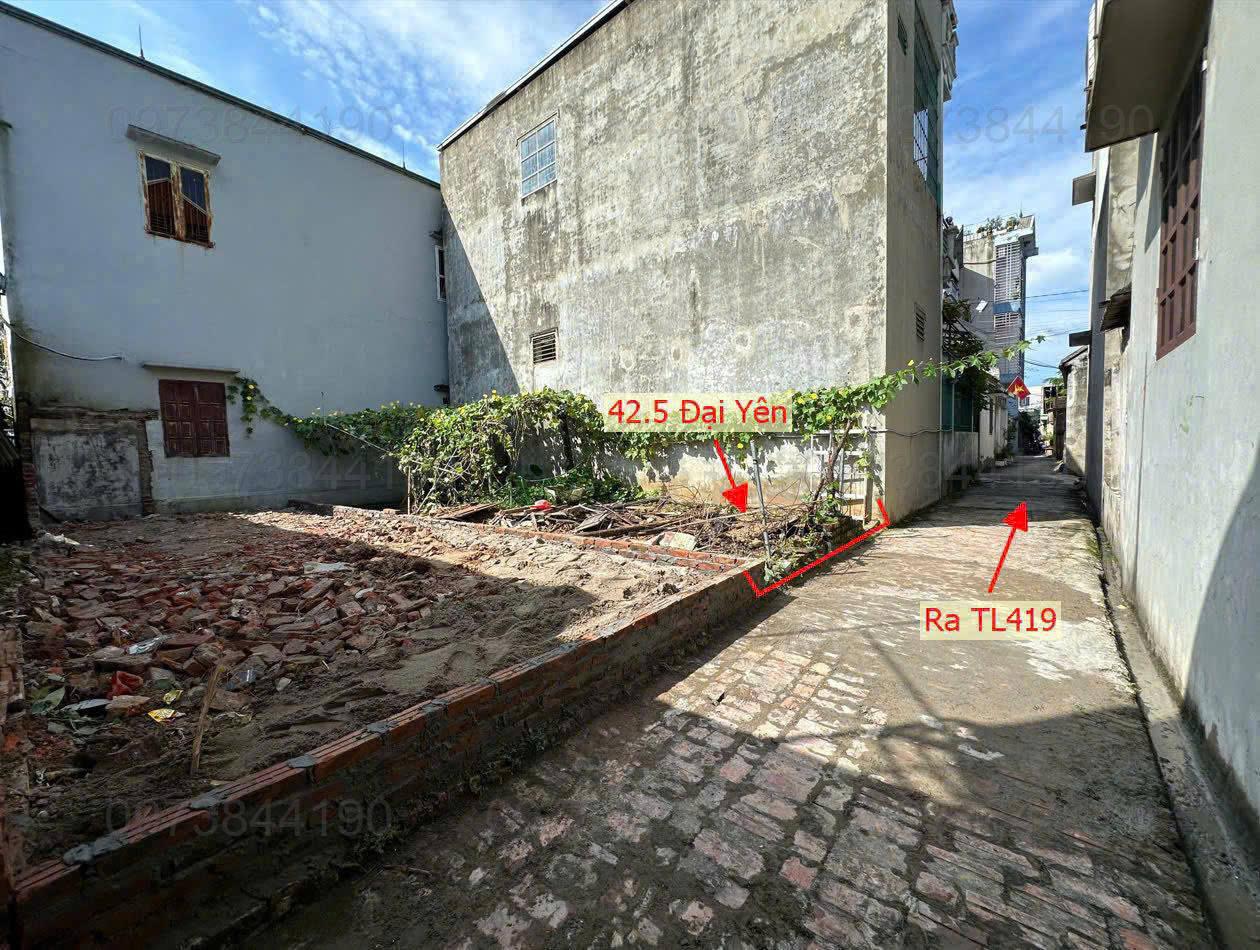 Đất Đại Yên chỉ 1,9 tỷ x có ngay lô đất 42,5m ( mặt tiền và hậu đều 3,8m)<br>Cách đường tỉnh lộ 419 - Ảnh 2