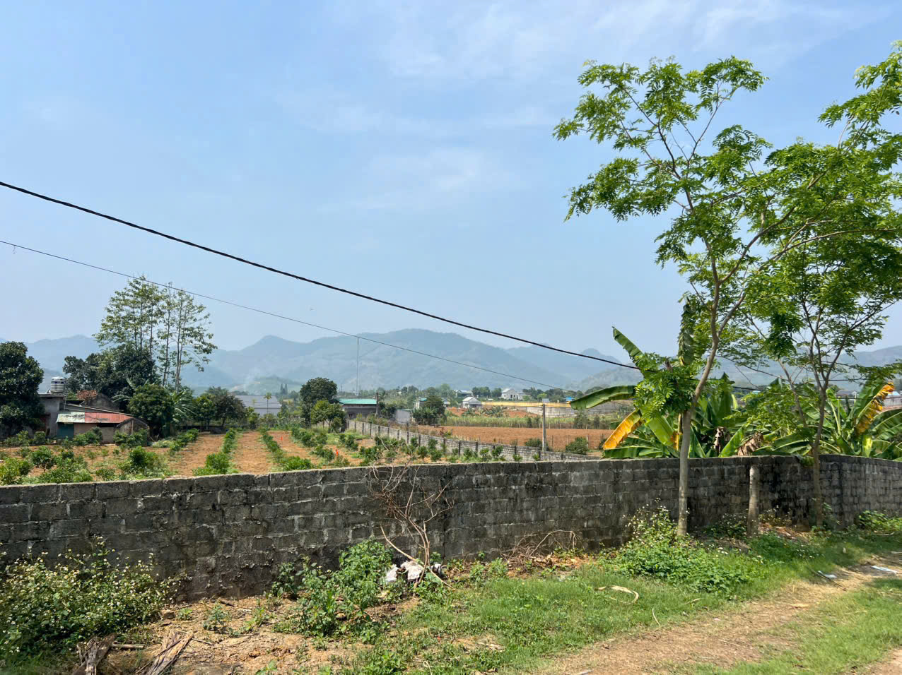 Bán 2376M_100M thổ cư sẵn nhà C4 vườn ăn trái_Bắc Phong Cao Phong_2,x tỷ - Ảnh 2