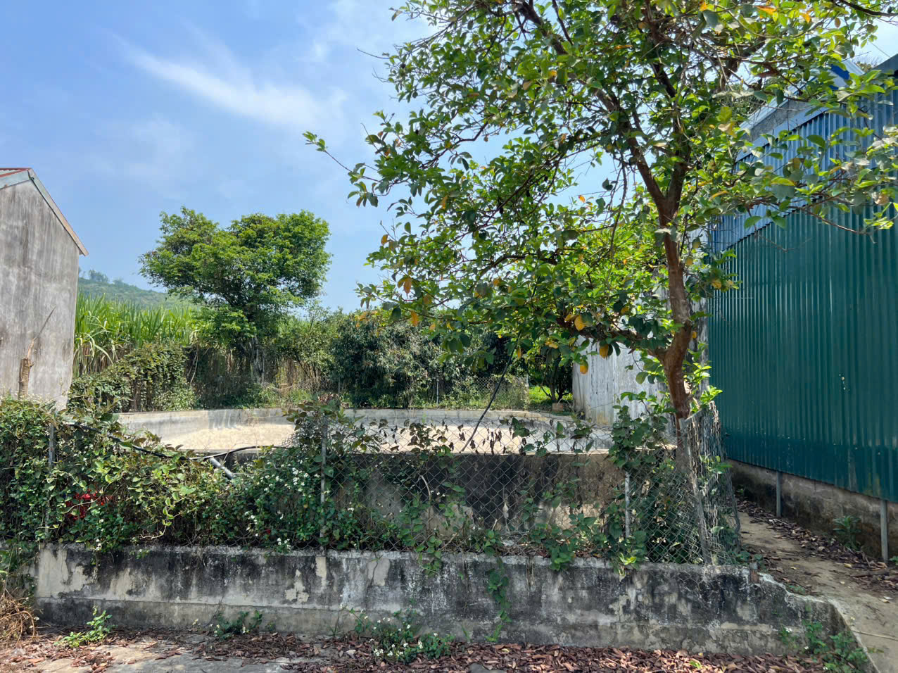 Bán 2376M_100M thổ cư sẵn nhà C4 vườn ăn trái_Bắc Phong Cao Phong_2,x tỷ - Ảnh chính