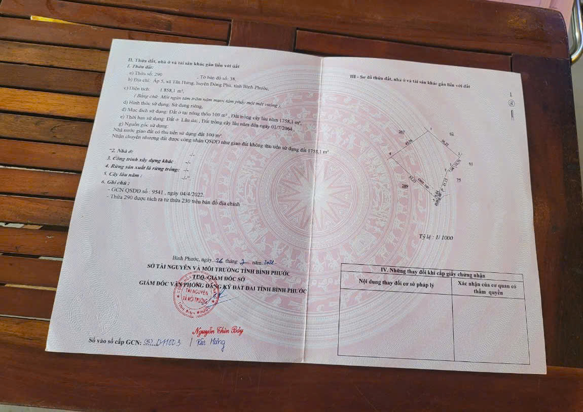 CƠ HỘI TỐT ĐỂ SỞ HỮU LÔ ĐẤT VỊ TRÍ ĐẸP- KHẢ NĂNG SINH LỜI CAO - Ảnh 4