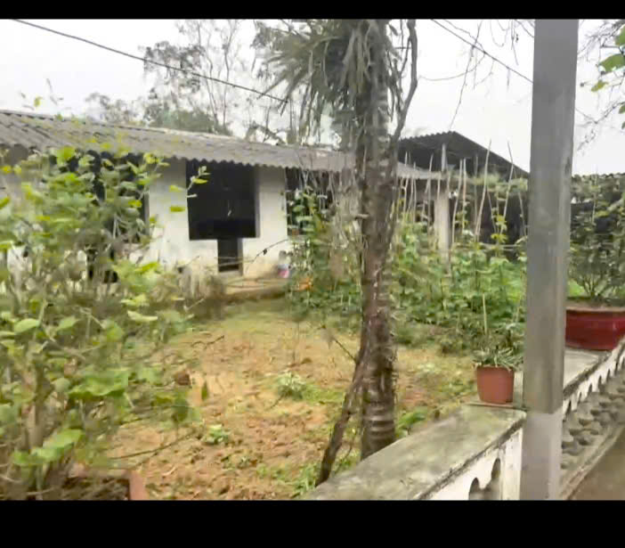 CHÍNH CHỦ CẦN BÁN LÔ ĐẤT TẠI HOÀNG VĂN THỤ- HUYỆN CHƯƠNG MỸ -HÀ NỘI - Ảnh 2