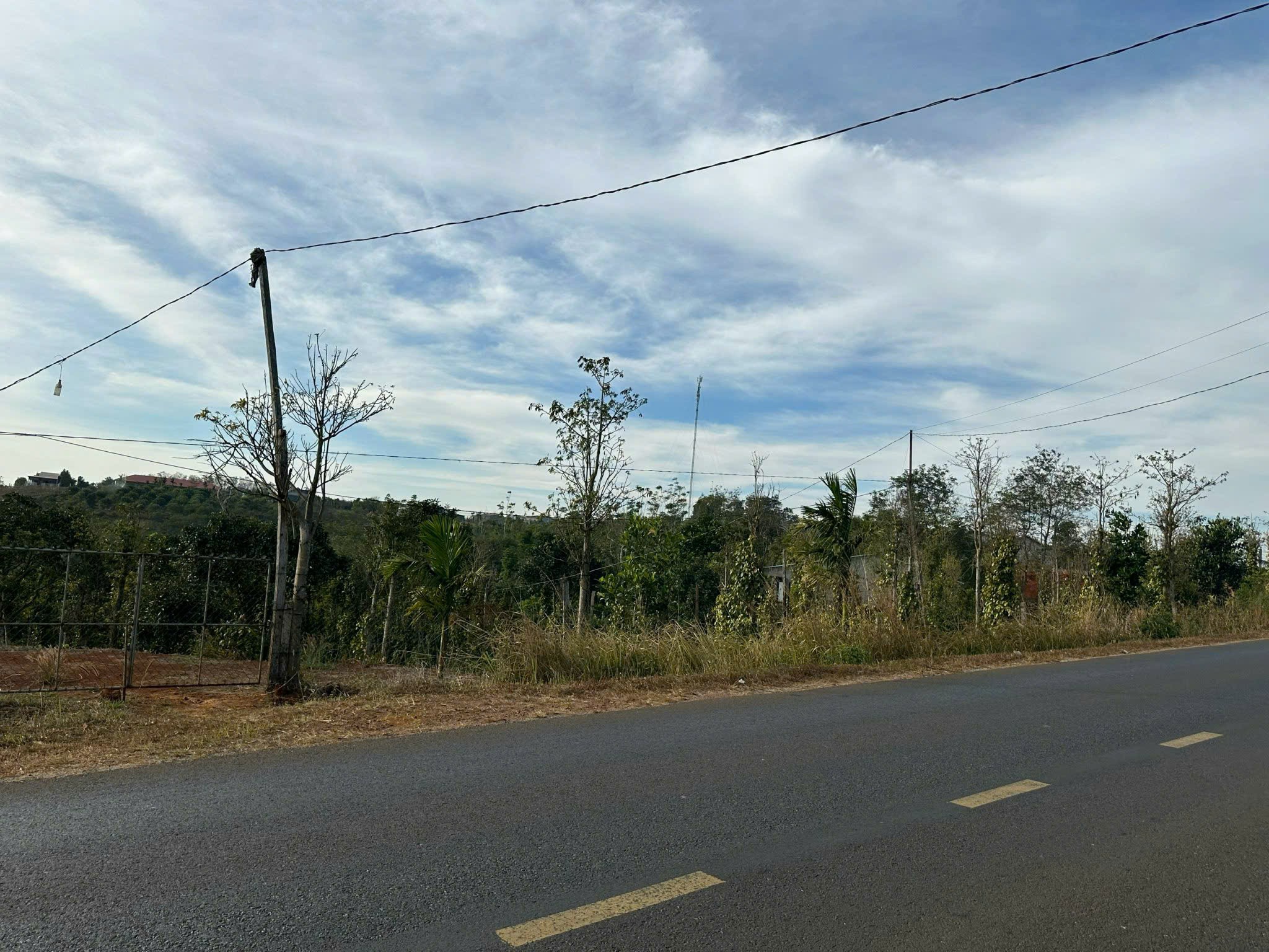 Đất đẹp- giá đầu tư Chính Chủ cần Bán Nhanh Lô Đất vị trí tại huyện Đăk Glong, tỉnh Đăk Nông - Ảnh 3